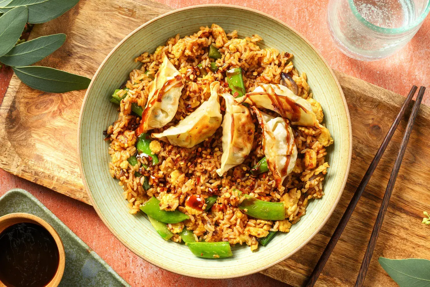 Vegetable Gyoza Topped Fried Rice